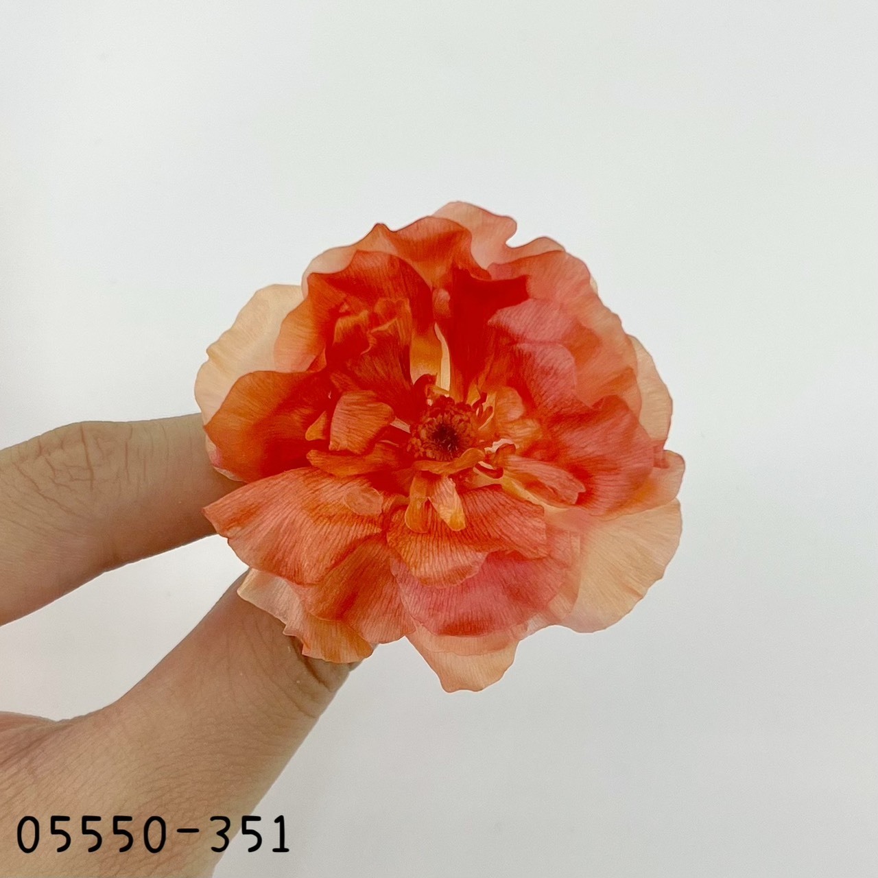 日本不凋蝴蝶陸蓮05550-351