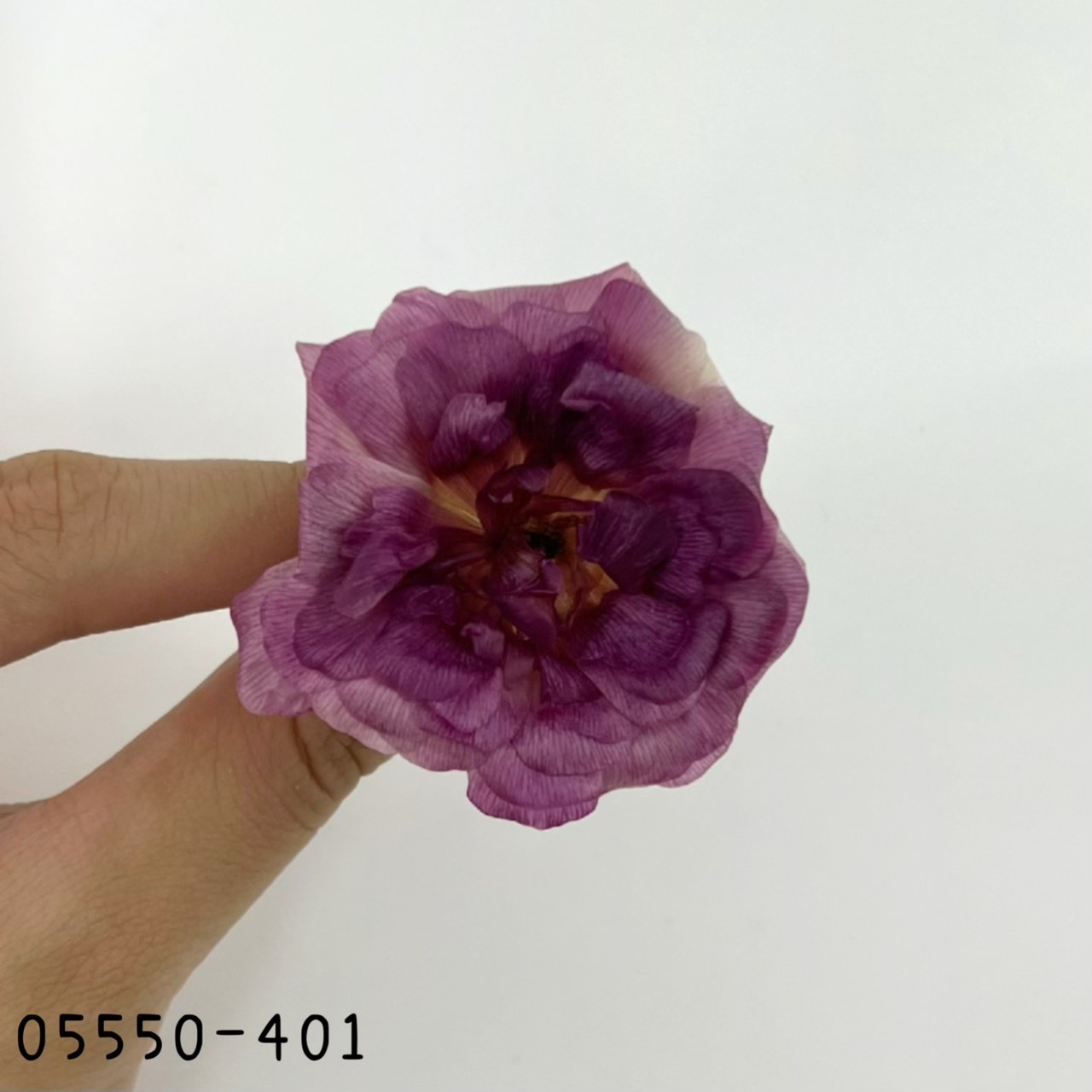 日本不凋蝴蝶陸蓮05550-401