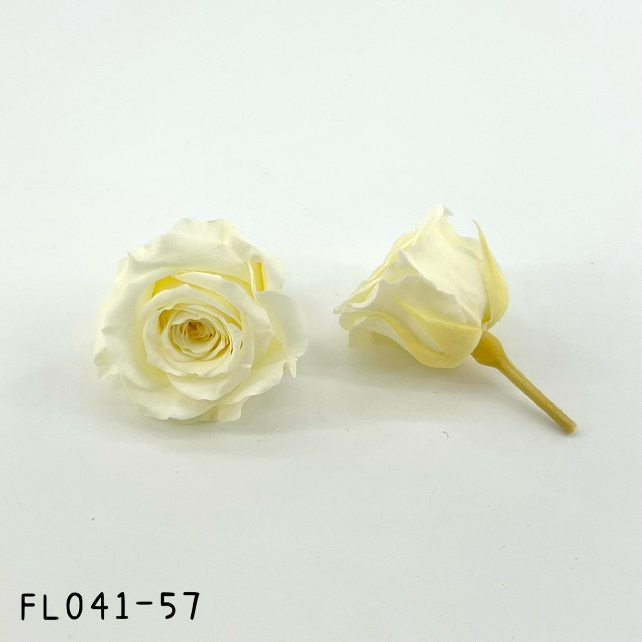 日本不凋小輪玫瑰 (18朵) FL041-57
