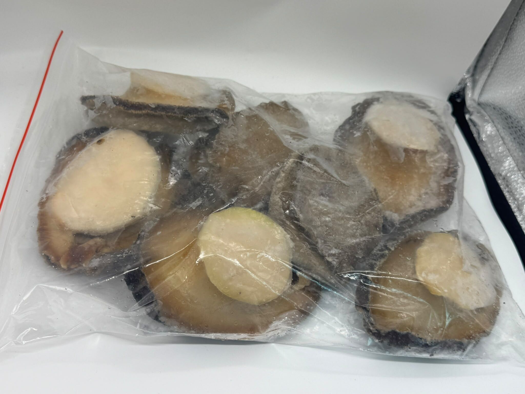 澳洲塔斯曼尼亞 野生黑鮑魚 1kg 6-9隻 隨機出