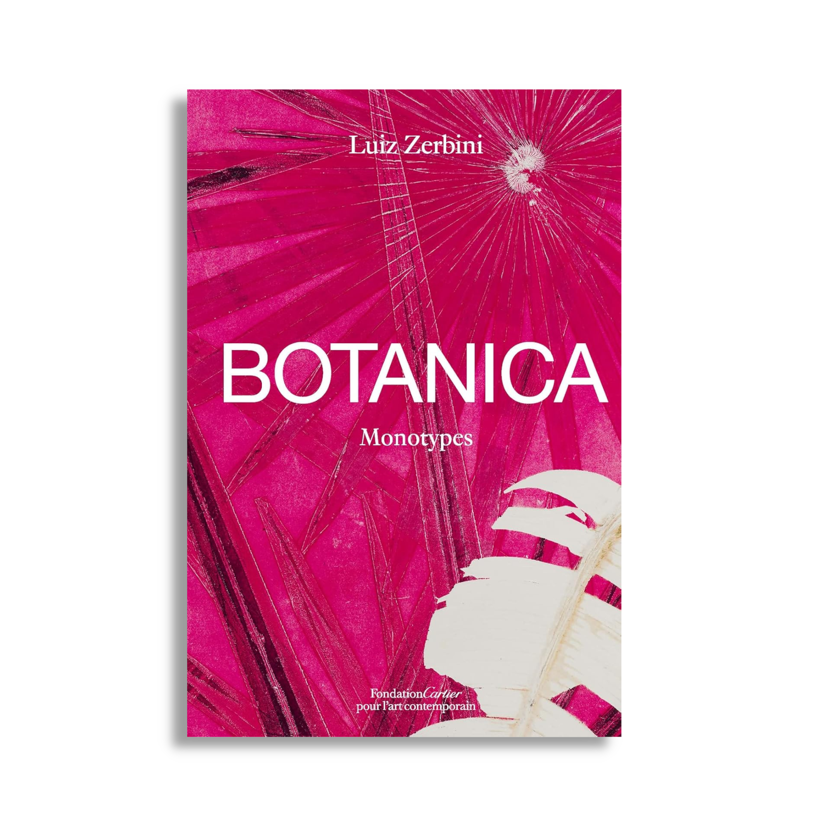 Luiz Zerbini: Botanica, Monotypes 2016-2020