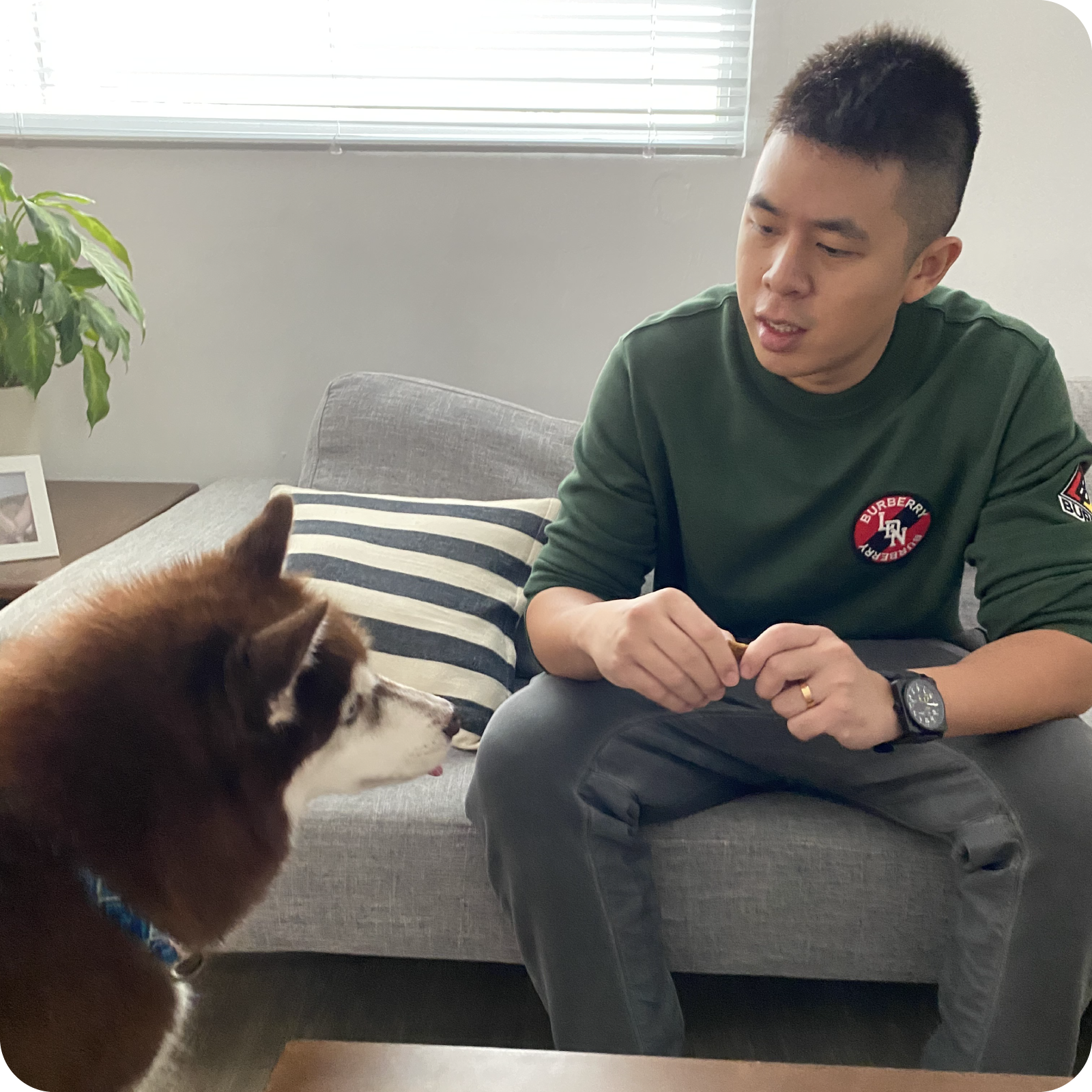 學習寵物飲食