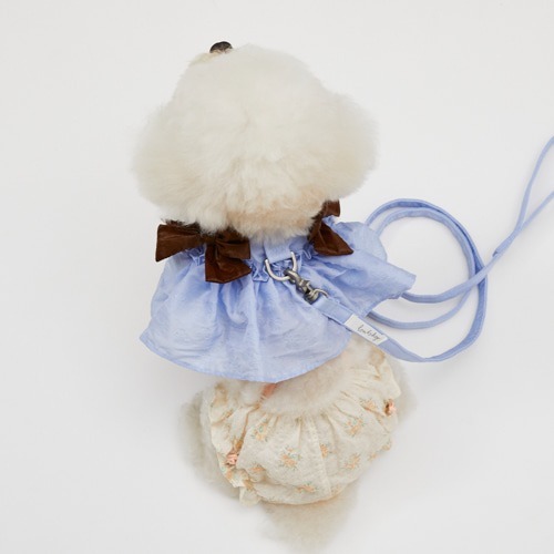 Louisdog 藍鈴花裙襬胸背帶＋牽繩組合