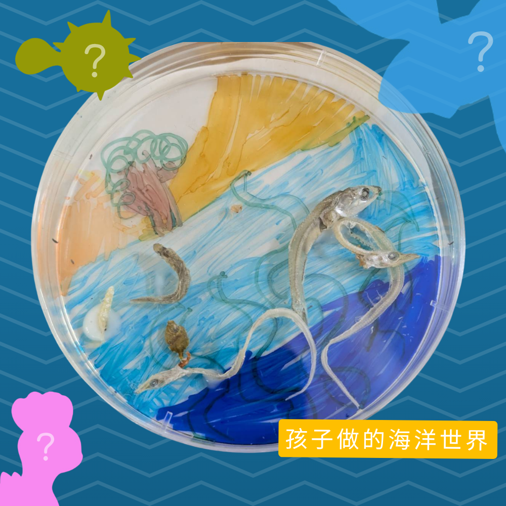 7月4日實體親子工作坊 | 海洋系寶可夢 (海洋生物) -- 林雅熒老師 (阿熒的教室)