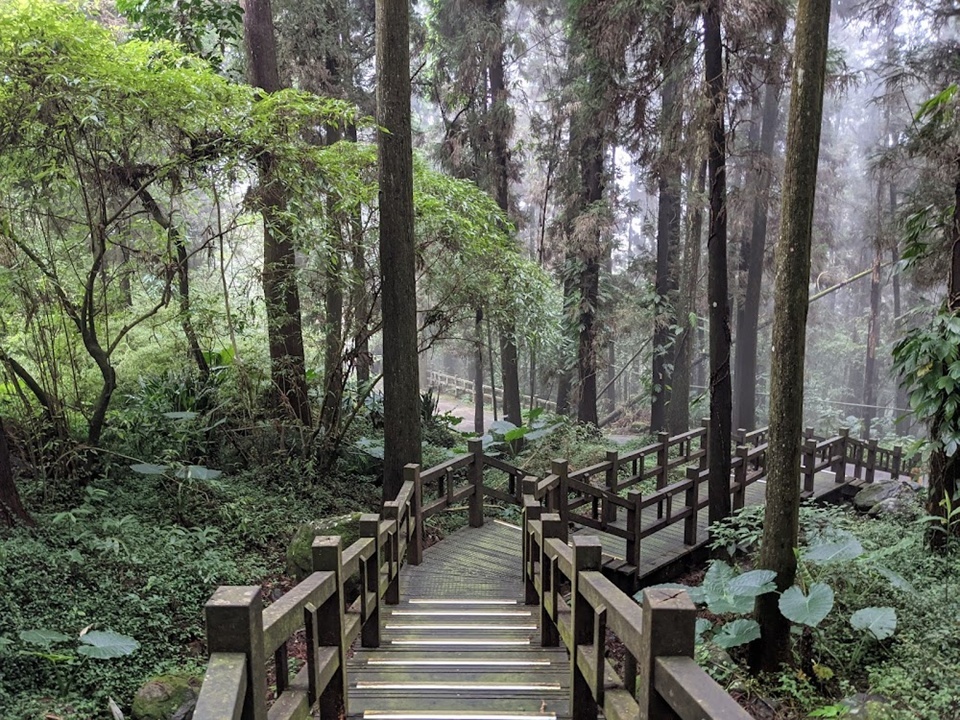 奮起湖的主要景區相當親民。老街範圍不大,大部分路段都能輕鬆步行,沿途也有不少商店與休息區。