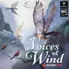 SOUNDIRON Voices of Wind Collection｜虛擬樂器音色庫