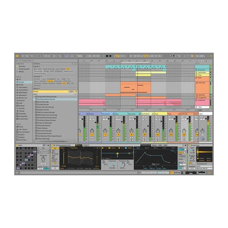 Ableton Live 12 Intro｜數位音訊工作站
