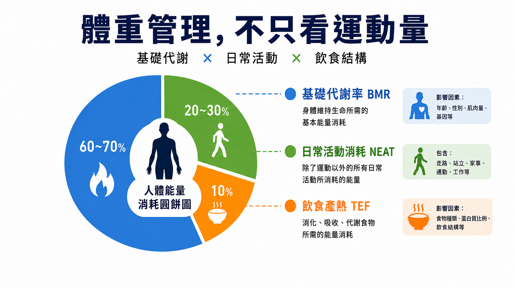 基礎代謝率運作關鍵