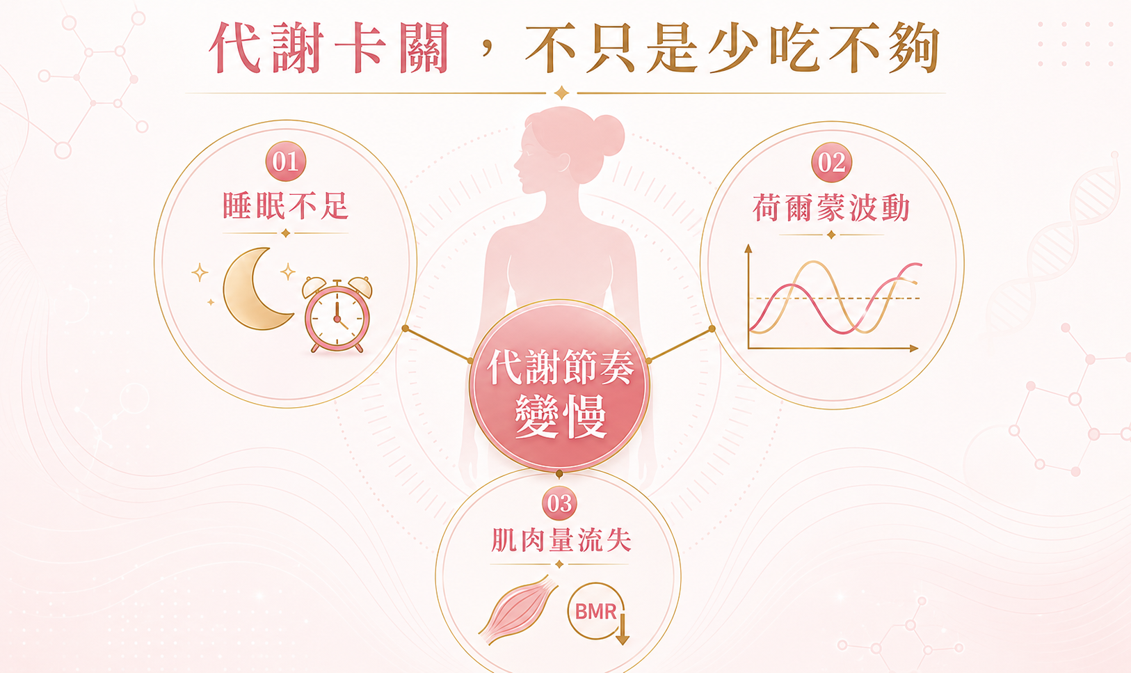 產後與更年期代謝停滯的原因分析