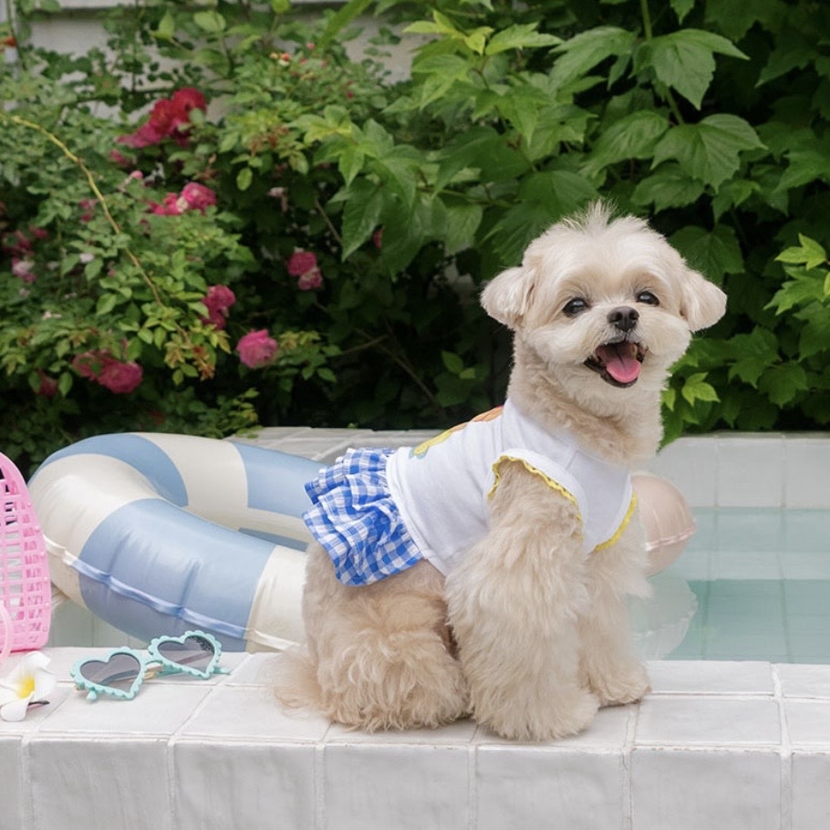 Floating Bear Picnic Dress｜漂浮小熊野餐連衣裙 It’s
