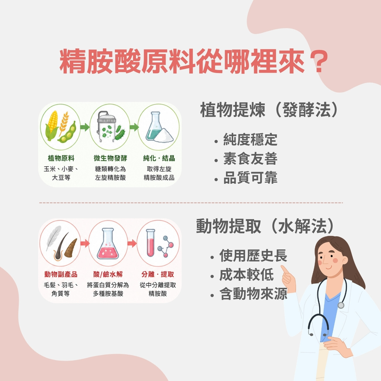 精胺酸原料從哪裡來？