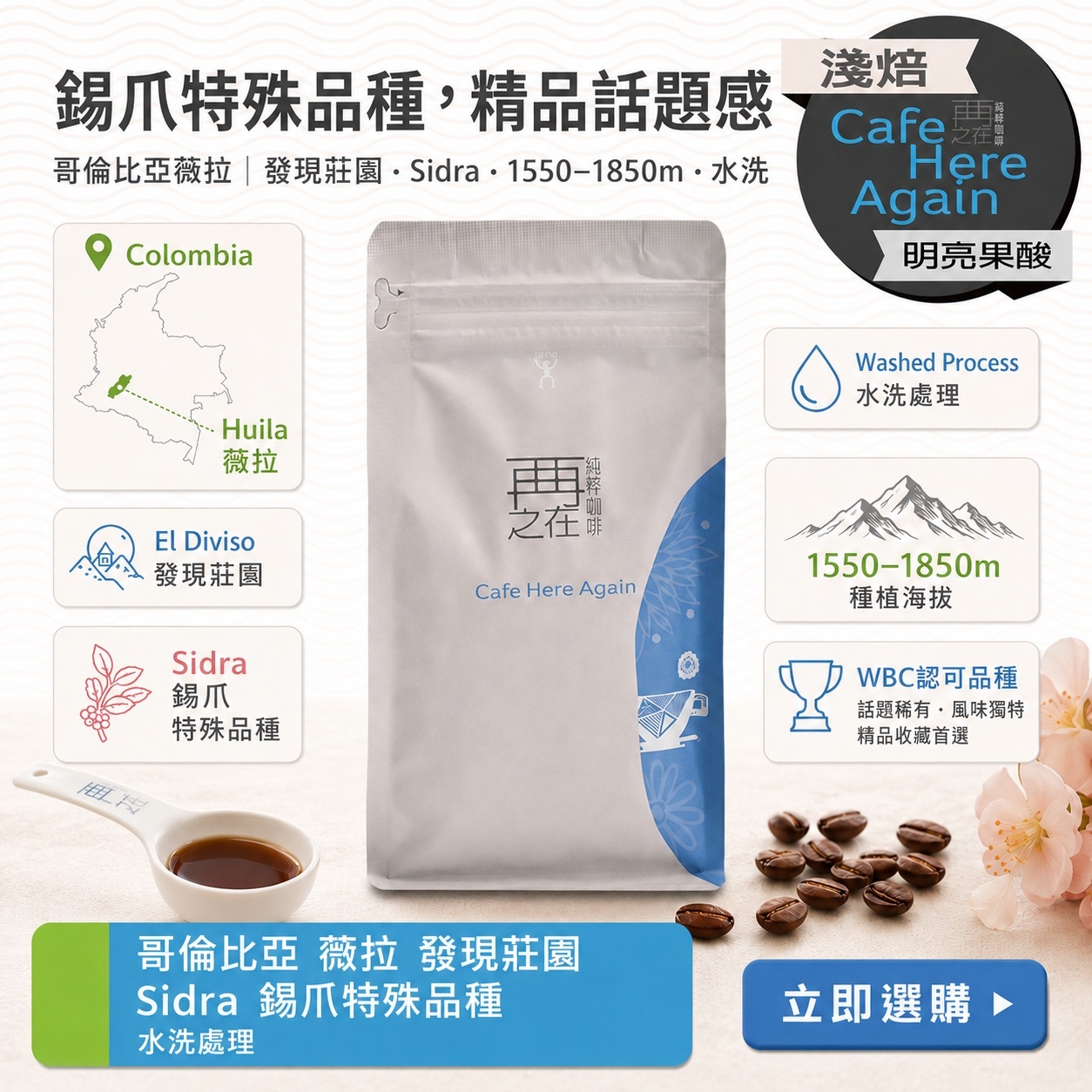 哥倫比亞 薇拉 發現莊園 錫爪 特殊品種