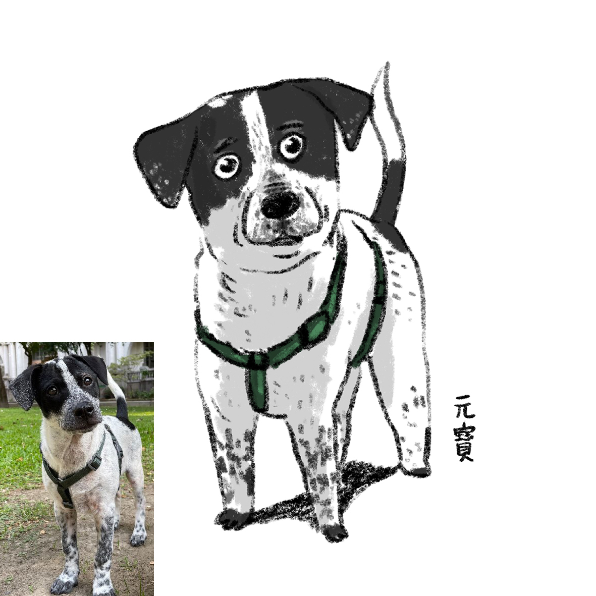 【ehcat貓室友】動物似顏繪 (電子檔) 【非貓咪似顏繪】