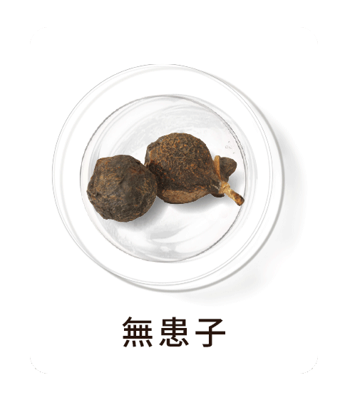 第一張背面圖