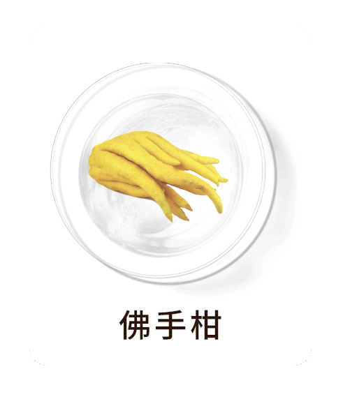 第三張背面圖
