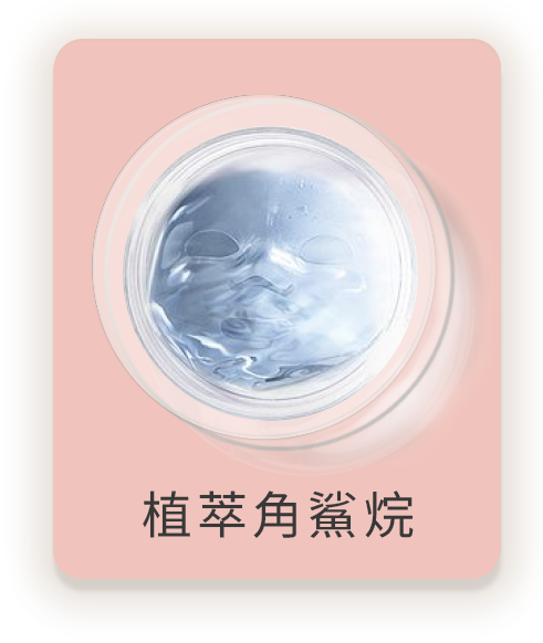 第二張背面圖