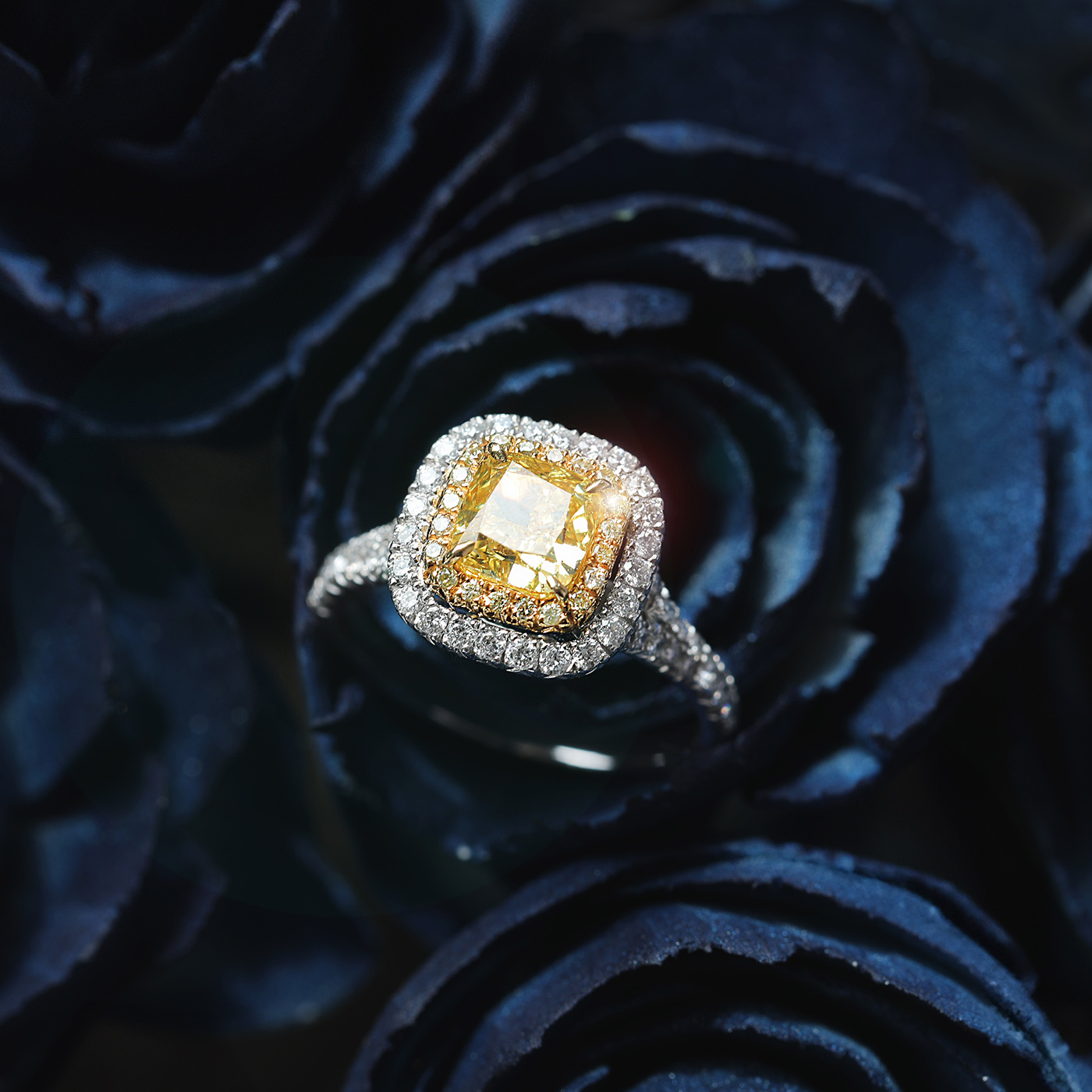 蜜光雙環 — GIA1.39克拉黃彩戒指