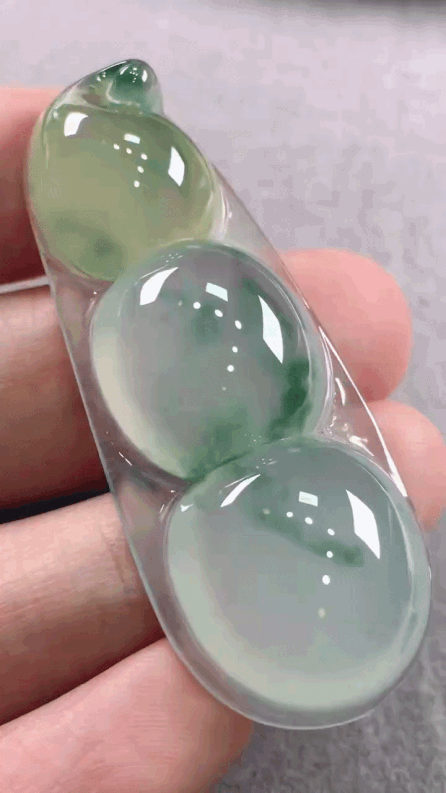 623340 翡翠福豆