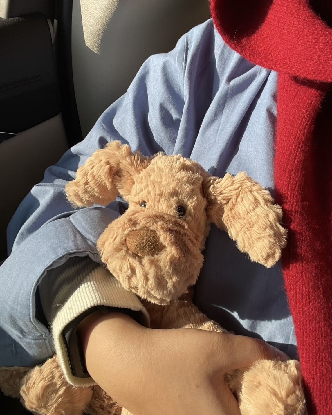 Jellycat 波浪毛 狗狗 狗勾 狗 動物 娃娃 毛絨玩偶