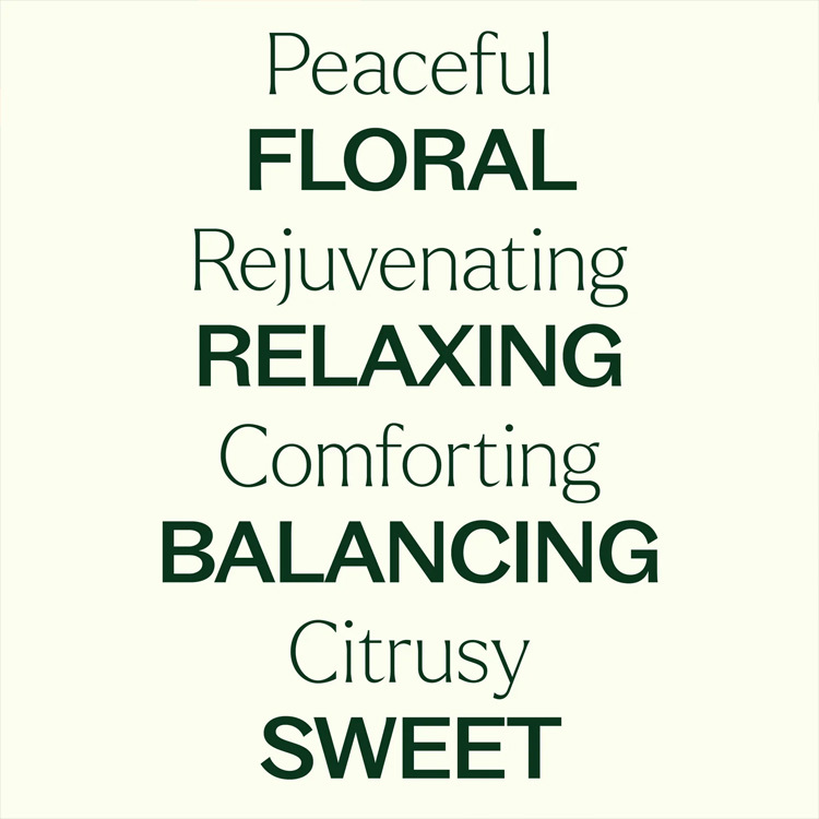 ［珍貴精油］Plant Therapy 橙花 Neroli 精油 (兒童安全) - 5ml