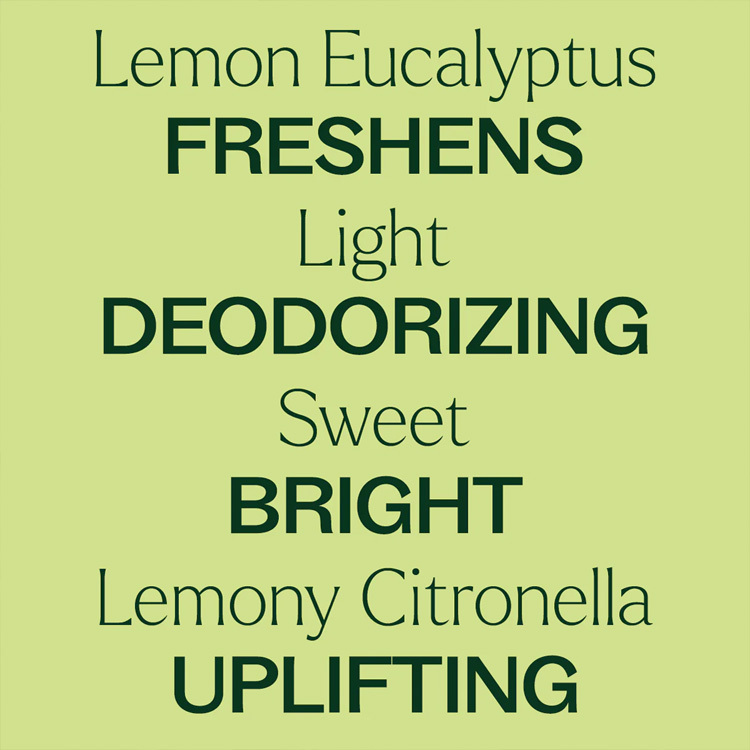 Plant Therapy 有機檸檬尤加利/檸檬桉樹(Lemon Eucalyptus) 精油 (兒童安全)- 10ml