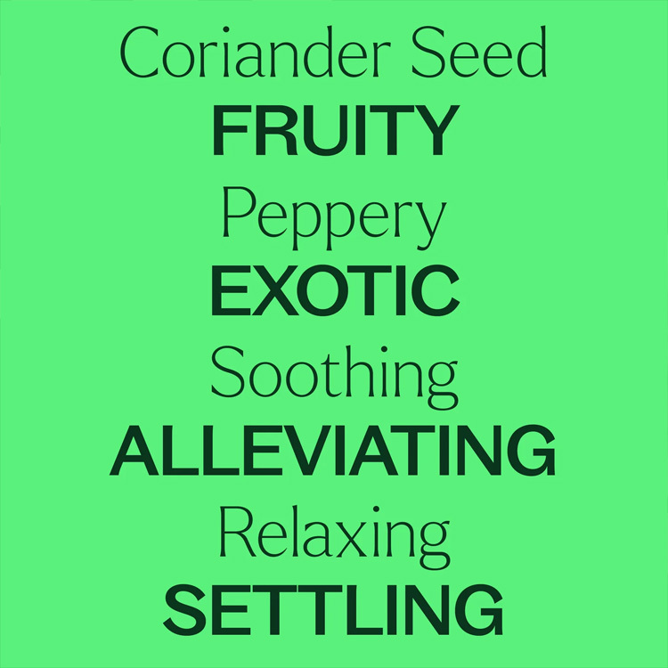 Plant Therapy 芫荽籽 Coriander Seed 精油（兒童安全） - 10ml