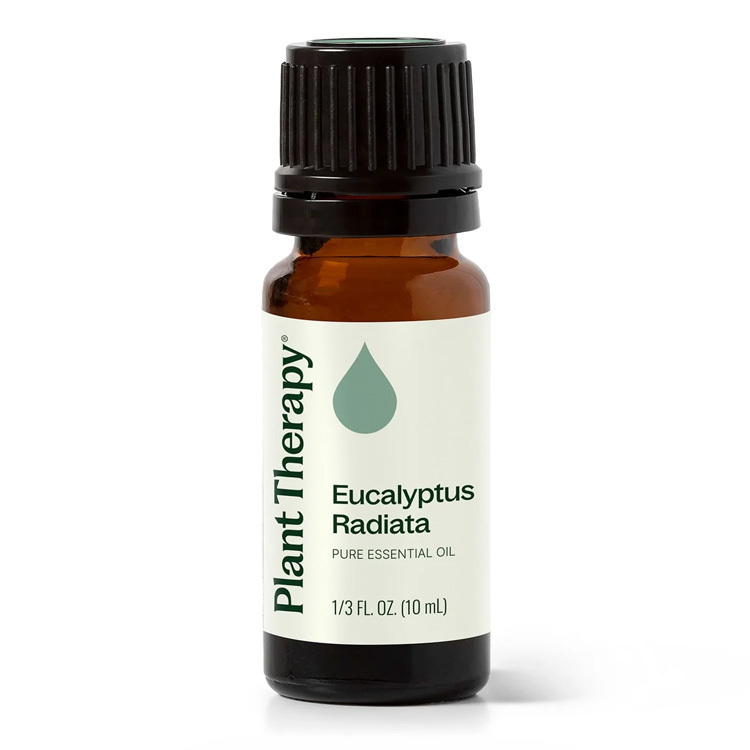 Plant Therapy 澳洲尤加利 Eucalyptus Radiata 精油- 10ml