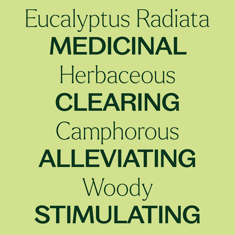 Plant Therapy 澳洲尤加利 Eucalyptus Radiata 精油- 10ml