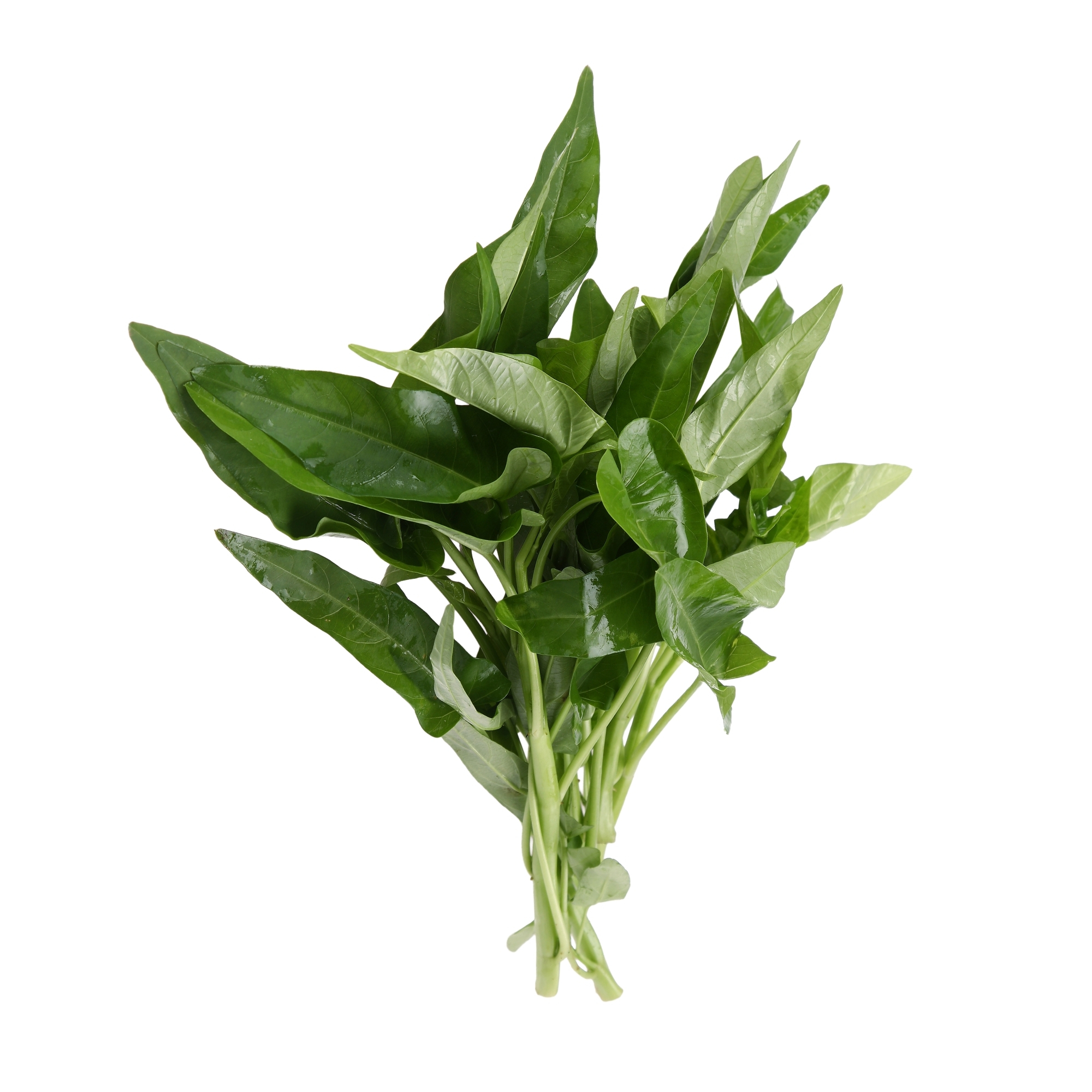 本地有機青通菜 (斤)
