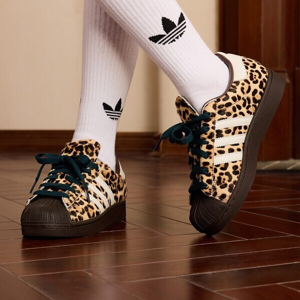 Adidas 愛迪達 Superstar II W KI4203 女 休閒鞋 復古鞋 豹紋 經典 貝殼頭 米棕