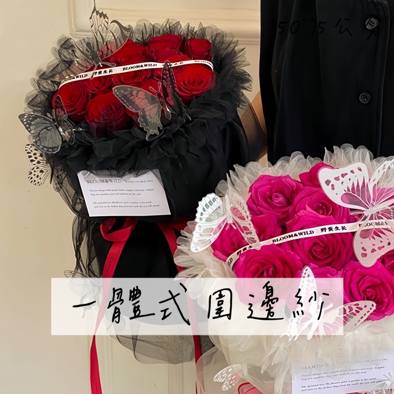 一體式圍邊紗