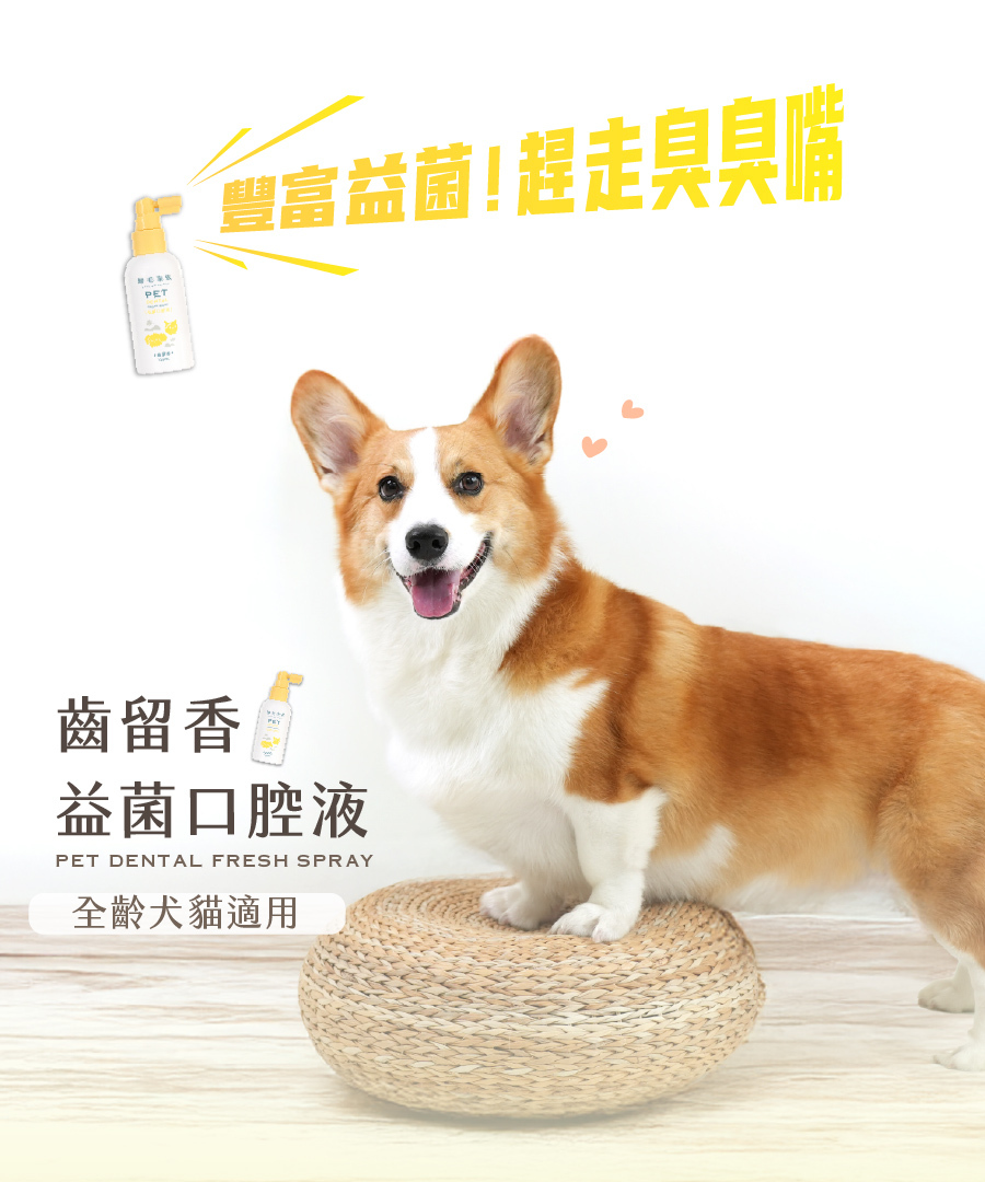 歸毛家族寵物益菌口腔液,富含益生菌能有效趕走貓狗臭臭嘴,是全齡犬貓必備的潔牙噴劑