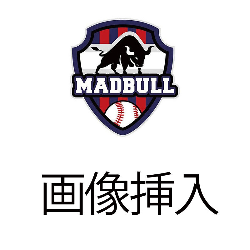 WORLD PEGASUS Field Master 硬式 捕手用 WGK6FFM2