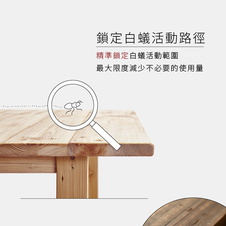 鎖定白蟻活動路徑