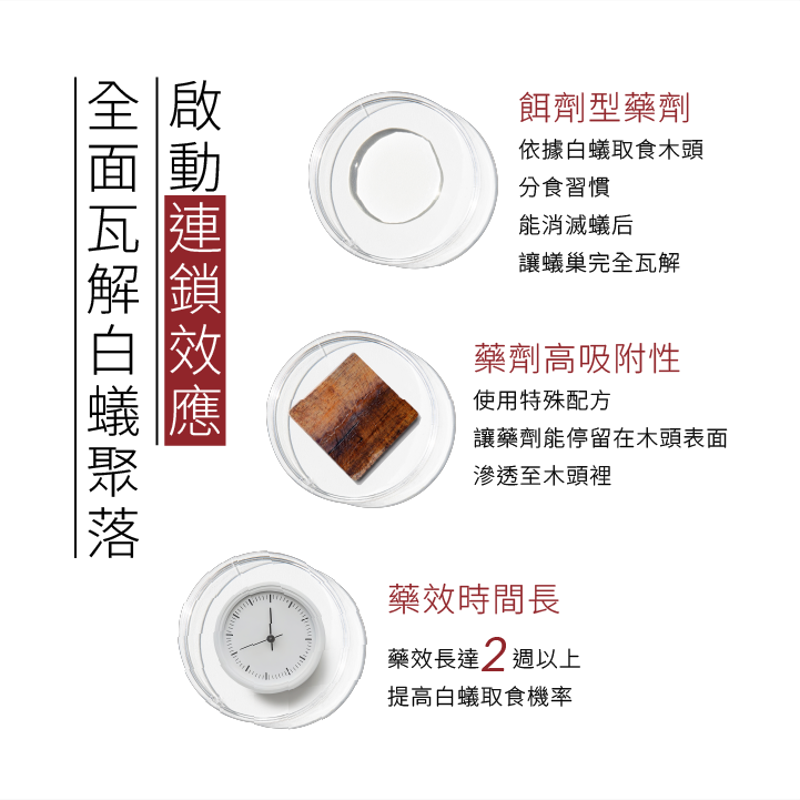 白蟻噴霧全面瓦解白蟻聚落