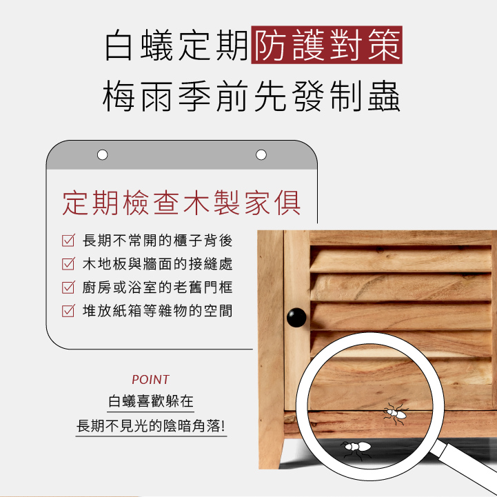 白蟻定期防護對策