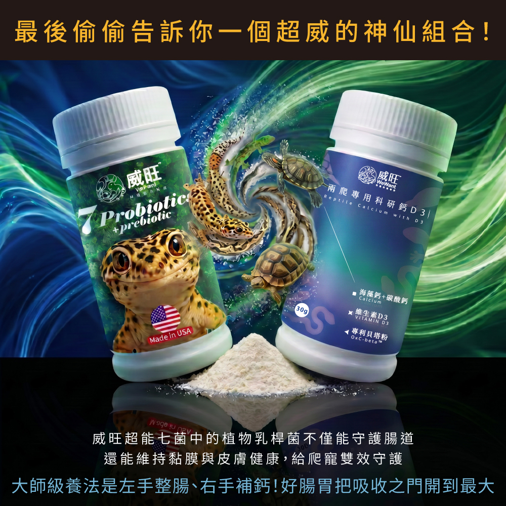 威旺超能七菌搭配兩爬專用科研鈣D3,大師級養法主打左手整腸、右手補鈣,給守宮、烏龜等爬寵雙效守護,好腸胃把營養吸收之門開到最大。