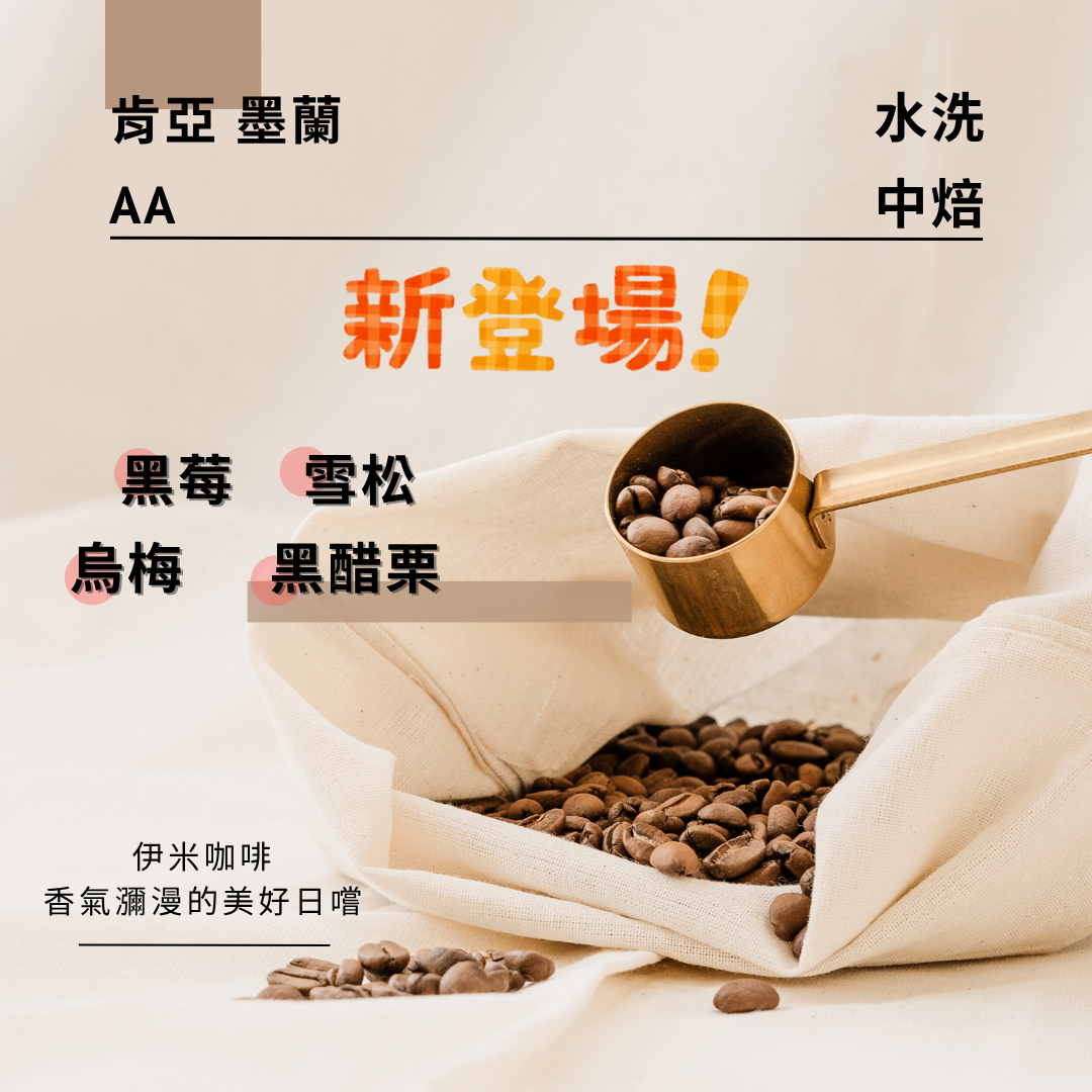 肯亞 墨蘭 AA 水洗/半磅