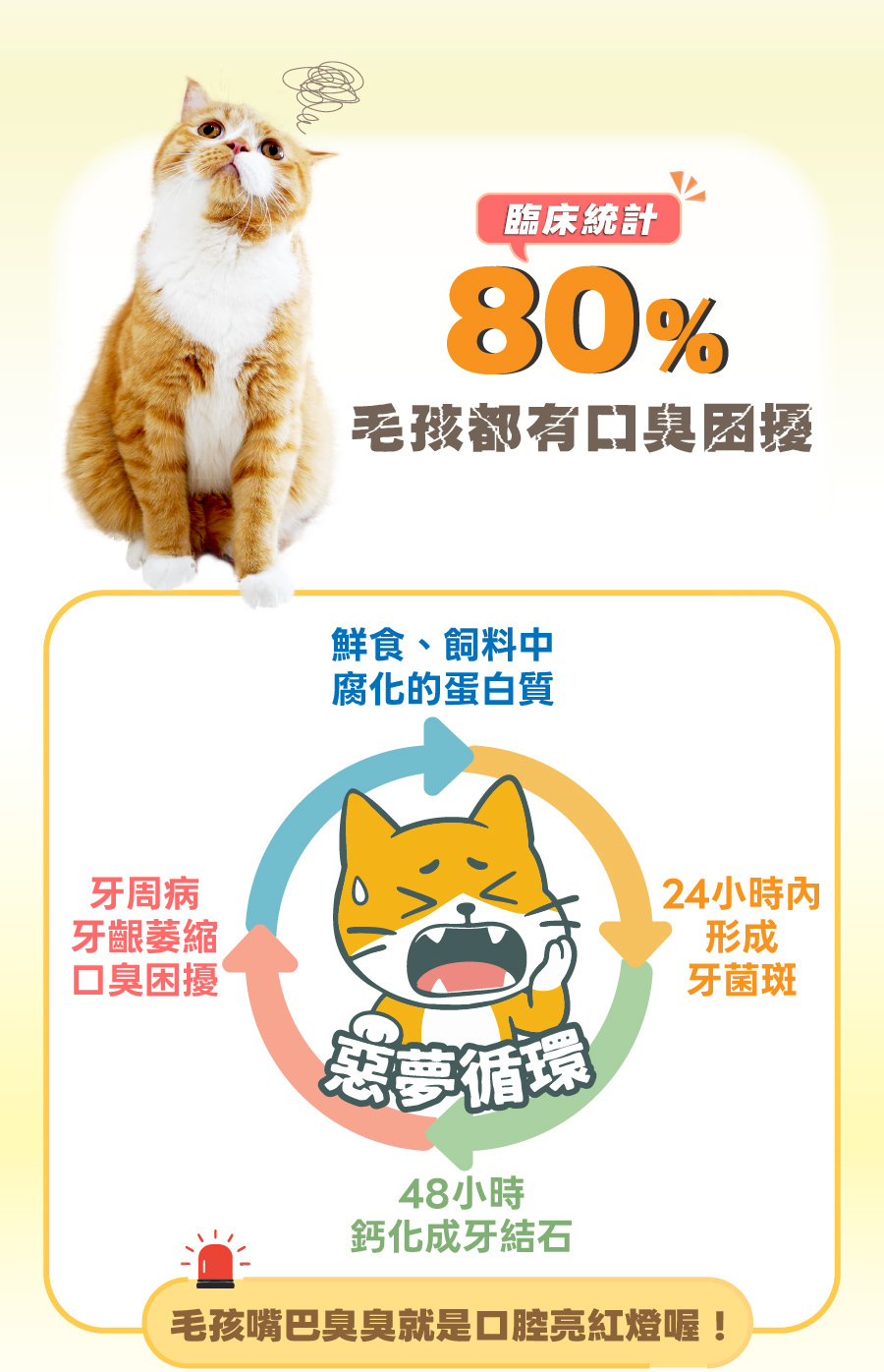 寵物口臭與健康警訊圖,揭露毛孩從牙菌斑、牙結石到牙周病的惡夢循環,提醒飼主注意口腔清潔。