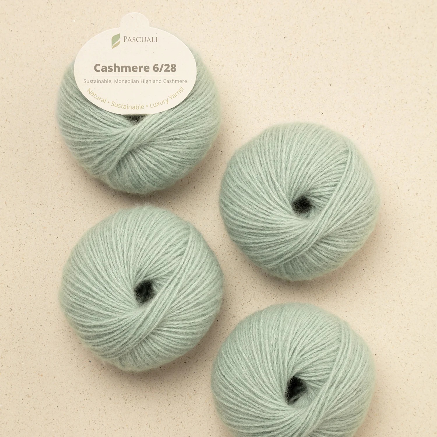 喀什米爾 Cashmere 6/28- Pascuali