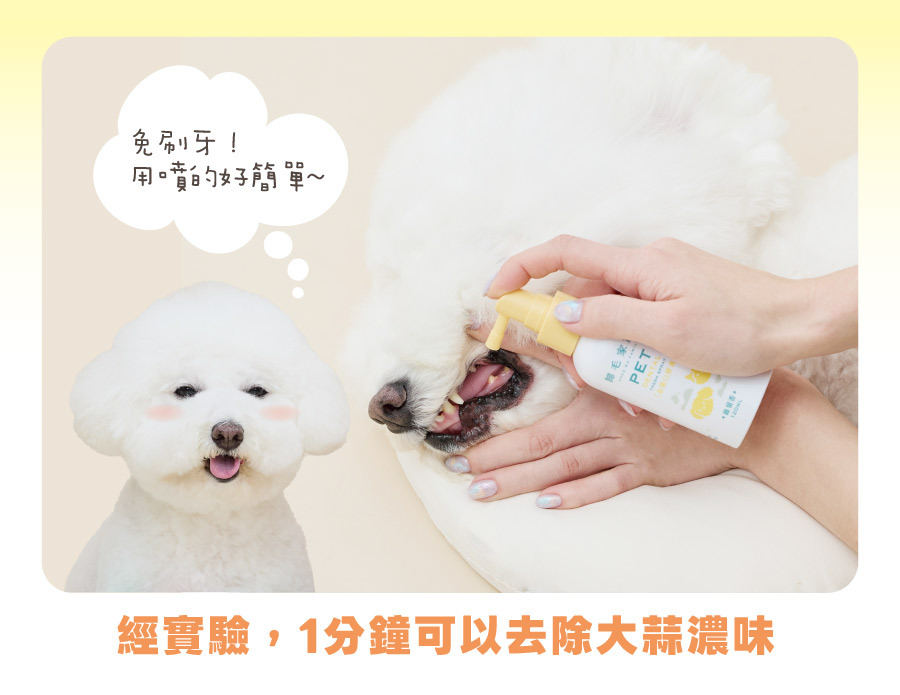 歸毛家族寵物口腔噴液,主打免刷牙、用噴的好簡單,經實驗證實一分鐘內可快速去除毛孩口中異味。