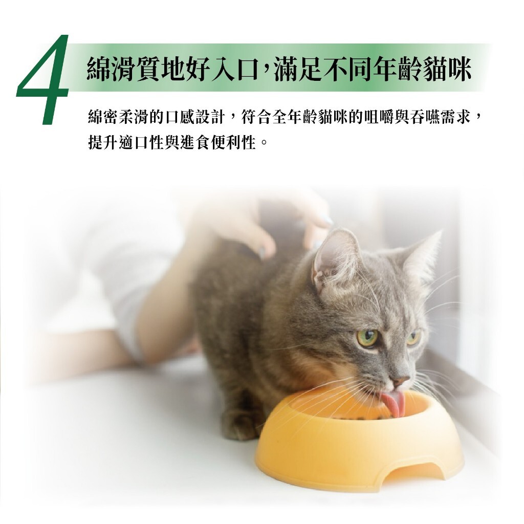 Cherie 法麗｜乳酸菌主食貓餐包 40g (保健餐包 泌尿保健 結紮貓餐包)