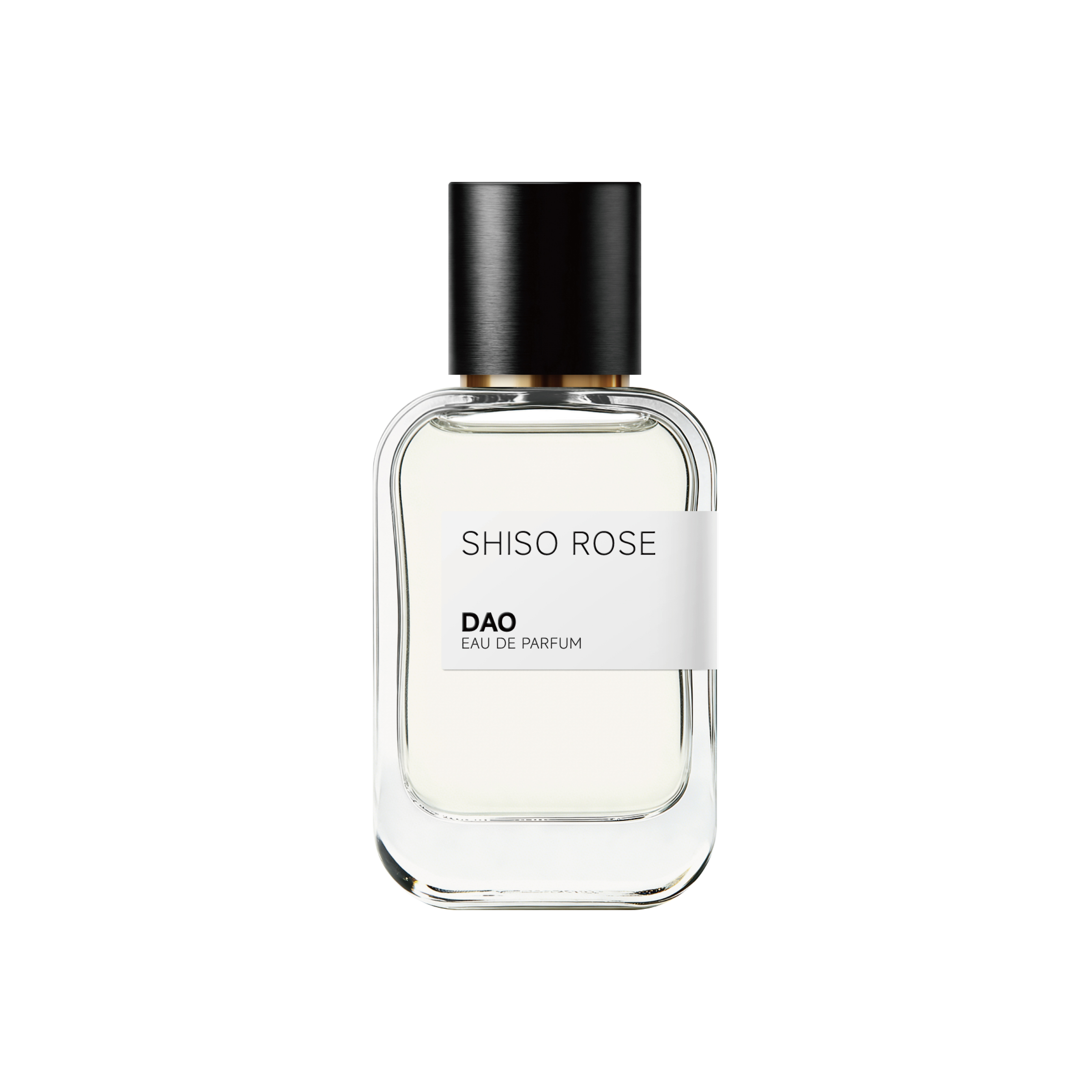 SHISO ROSE