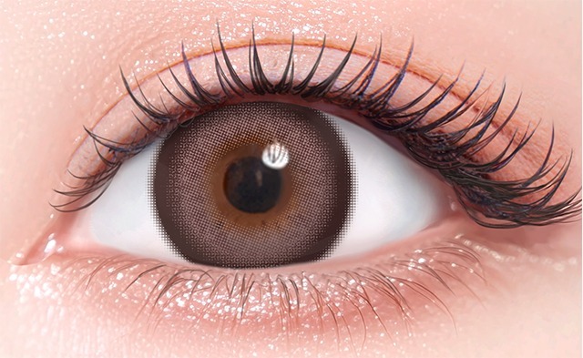 Flurry by colors 1 day Color Contact Lens 每日即棄有色隱形眼鏡(1DAY)(10片裝) Ring Large Ash Brown