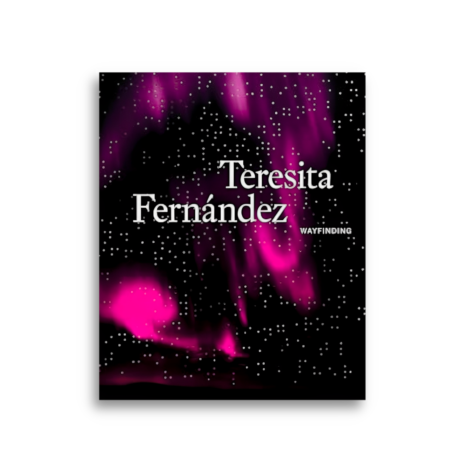 Teresita Fernandez: Wayfinding
