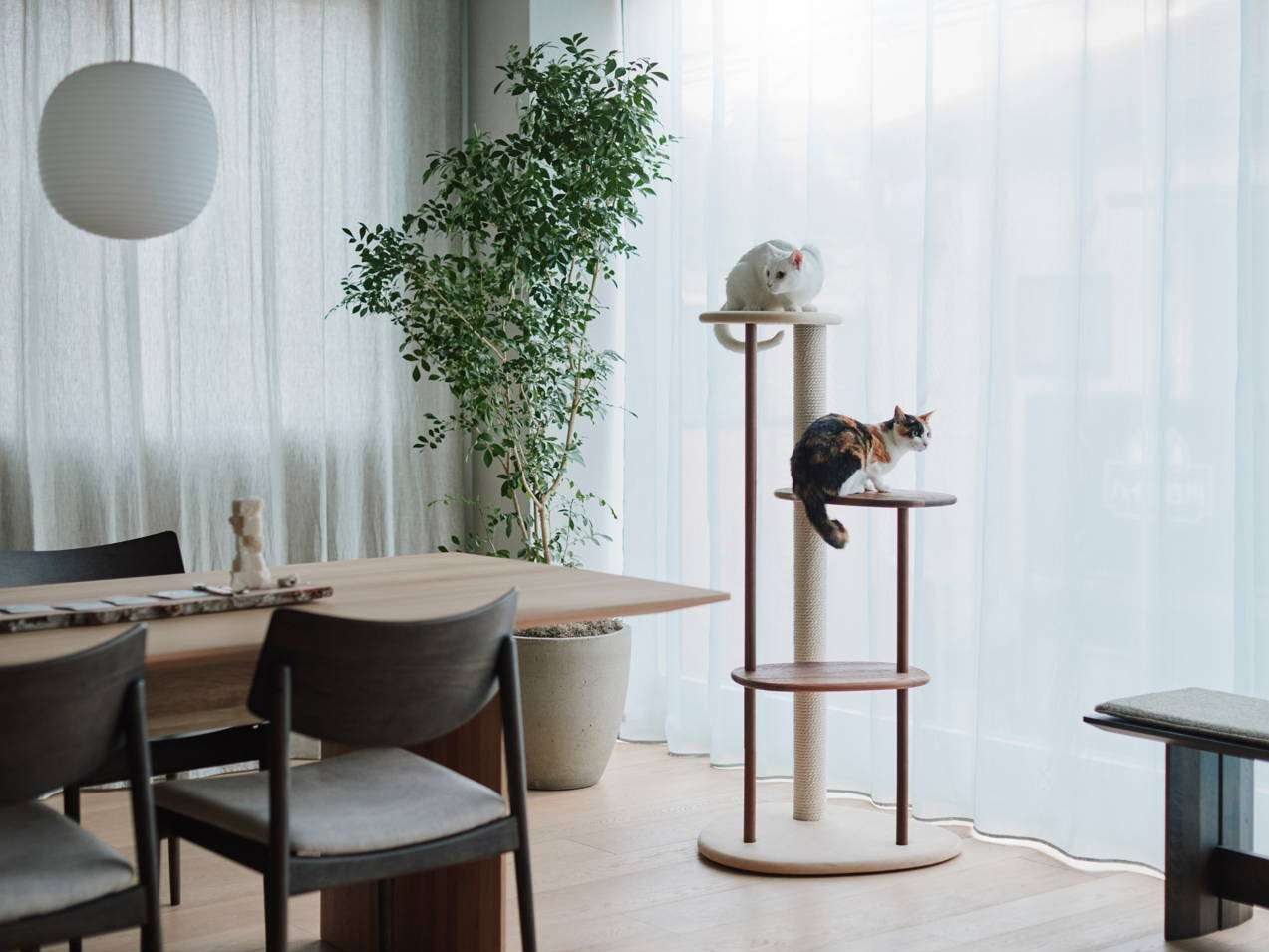 KARIMOKU CAT TREE / 貓跳台