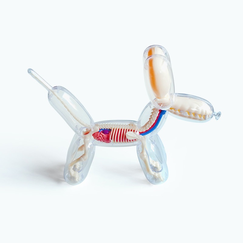 4D Master Jason Freeny Balloon Dog 解剖 氣球狗 模型