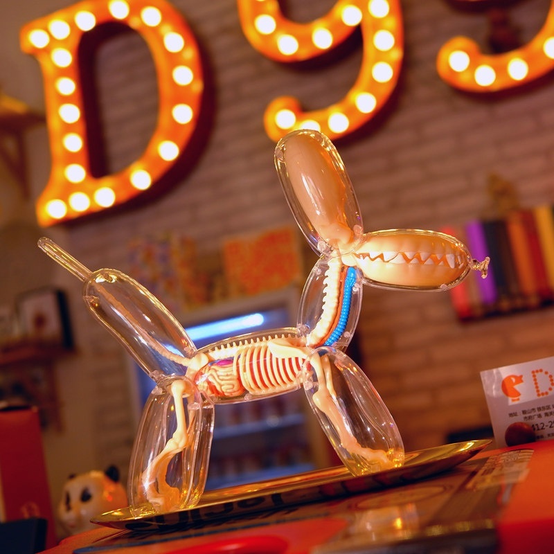 4D Master Jason Freeny Balloon Dog 解剖 氣球狗 模型