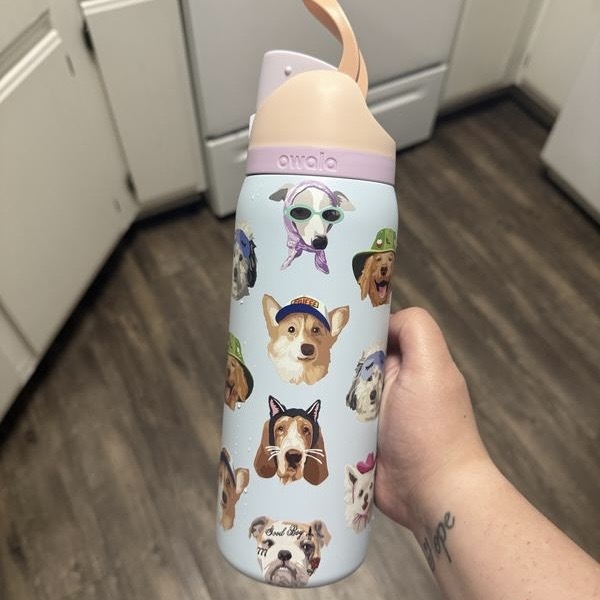 OWALA UO EXCLUSIVE CAT&DOG COLLAGE FREESIP 32OZ 貓狗拼貼 不銹鋼 保冰杯 945ML