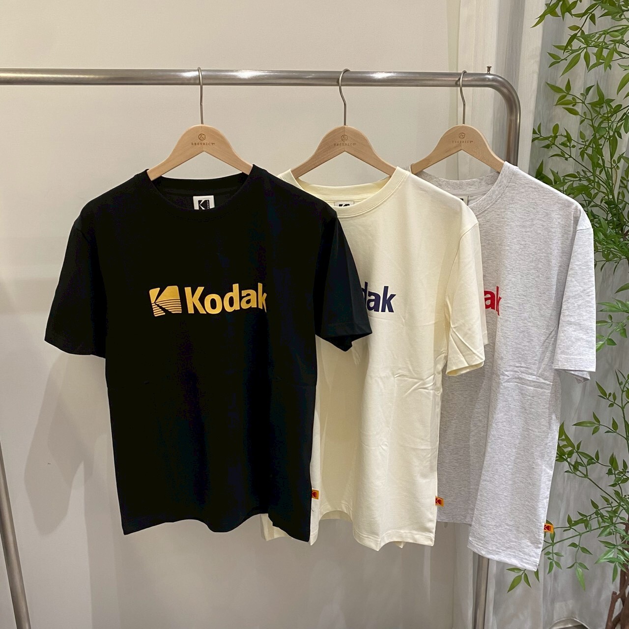 Kodak 柯達經典大標涼感短 T  K6223LRS26